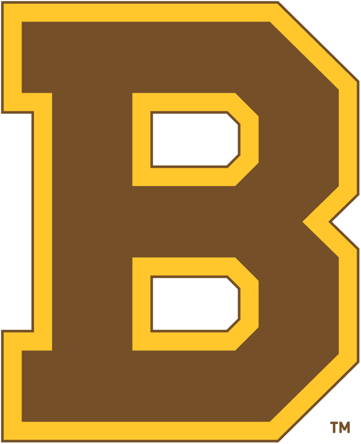 Boston Bruins 1932-1934 Primary Logo DIY iron on transfer (heat transfer)